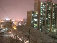 snowy view from my front door