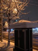 the local power box also laden