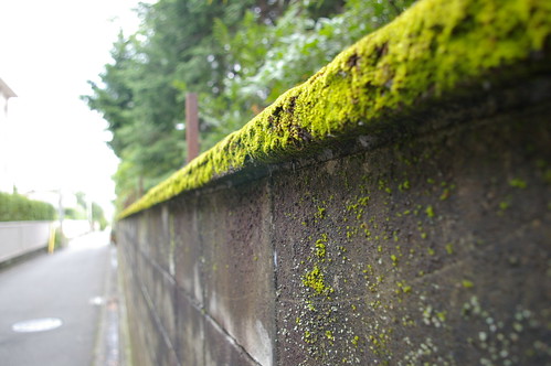 Mossy
