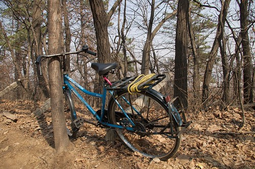 Abandoned Bike
