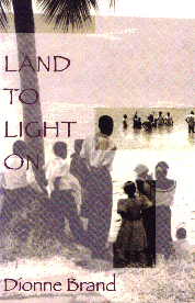 Land to Light On by Dionne Brand Image