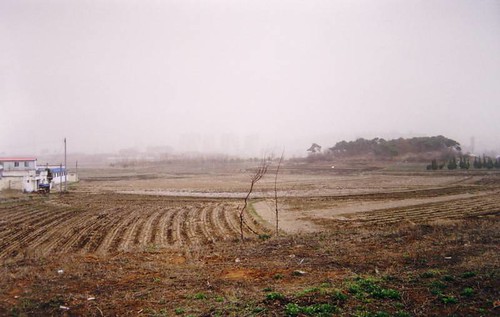 fallow