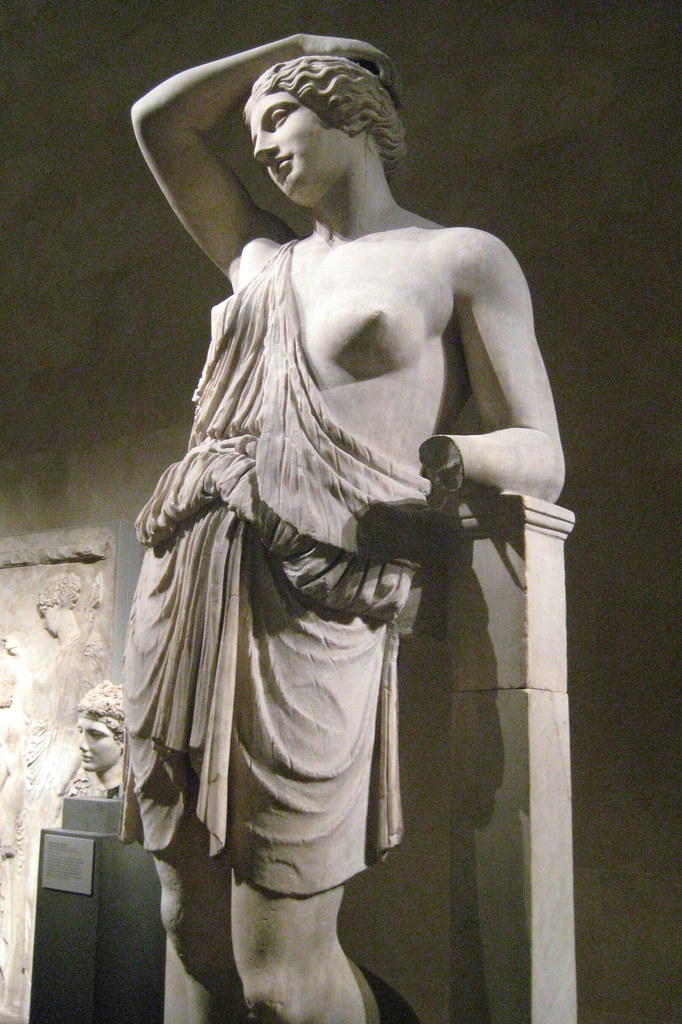 A Wounded Amazon, from The New York City Metropolitan Museum of Art. Click to see the source.