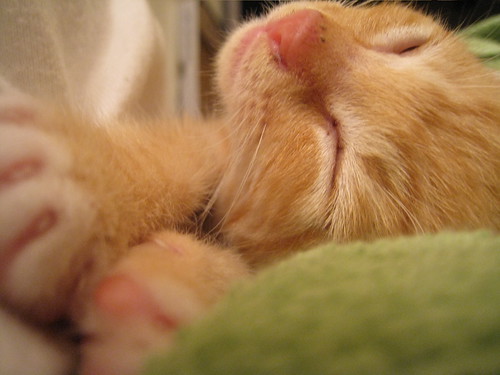 ... and shes sleeping a LOT. Which is apparently normal.