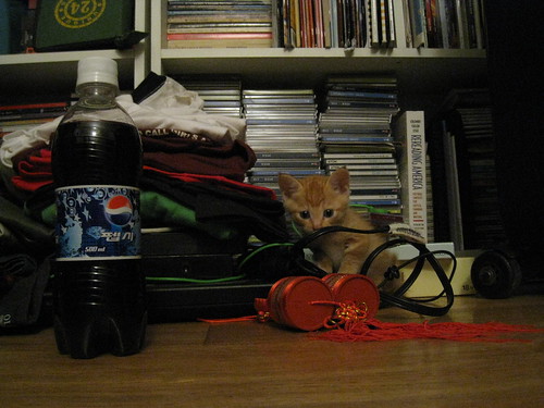 Thats a 500ml bottle of Pepsi, by the way.