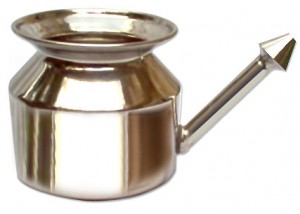 This is the exact type of neti pot I use.