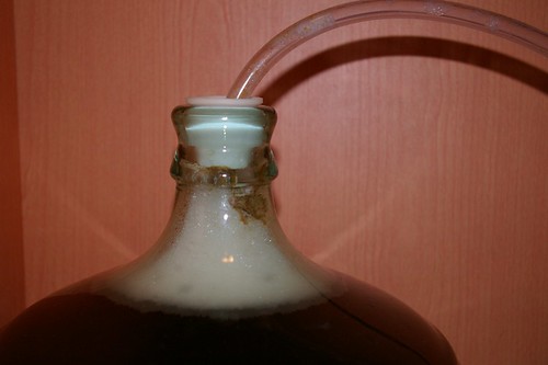 IMGP0671