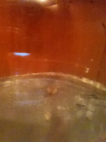 Pellicle Closeup?