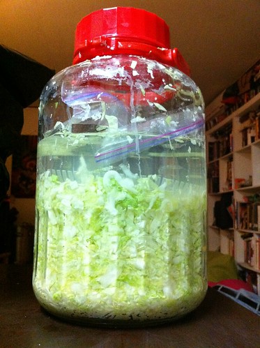 Sauerkraut, First Step