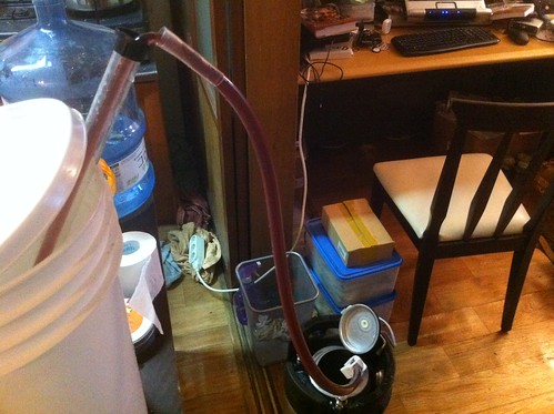 Racking the Bokbunja Melomel