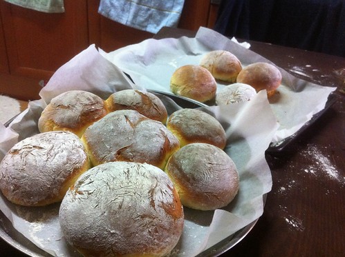 Crusty Buns