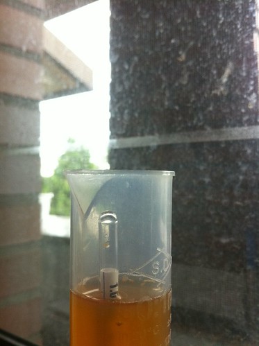 French Saison (Wyeast 3711) gravity sample.