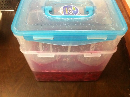 Red Cabbage 'Kraut!