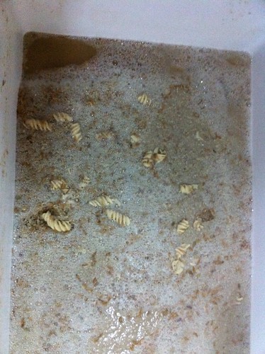 Pasta in the Mash (2)