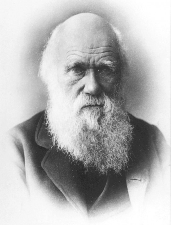 Charles Darwin Charles Darwin