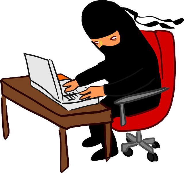 ninja-155848_640