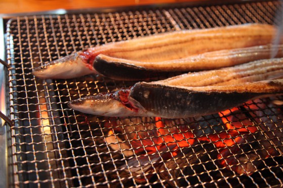 The theory is transparent: long foods, like eels, are good for your virility. (Photo by Jinho Jung. Click for source.)