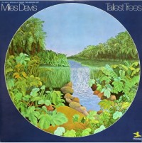 The cover of the Miles Davis compilation album Tallest Trees. 